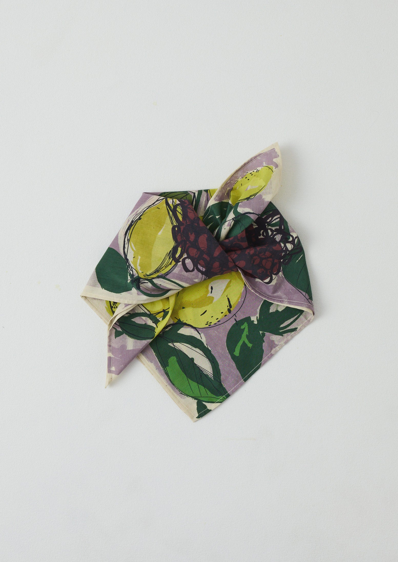 Sketched Fruit Cotton Silk Bandana